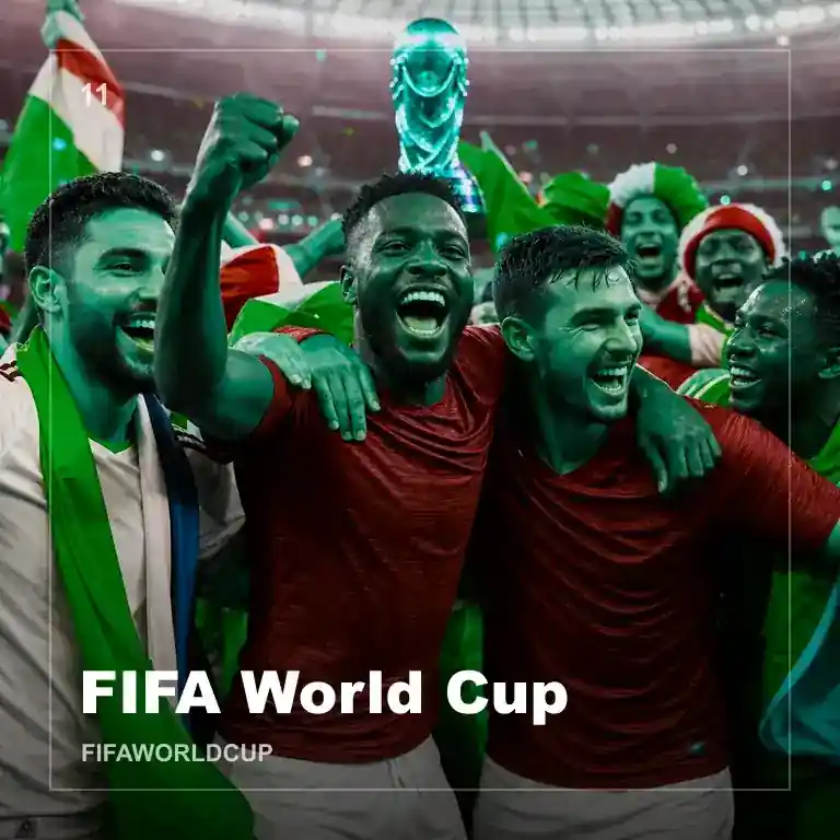 FIFA世界杯赛事现场